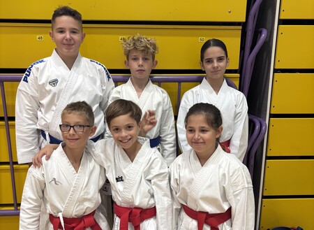 karate 1