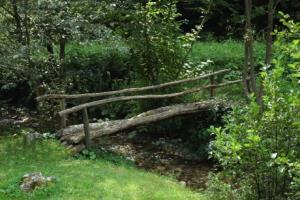 Bister-graben-460x305