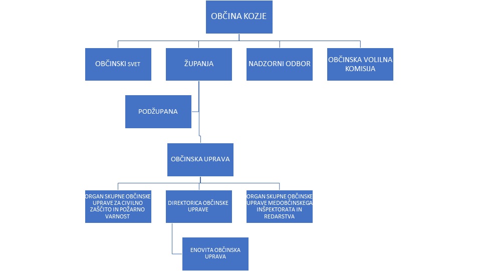 organigram.jpg